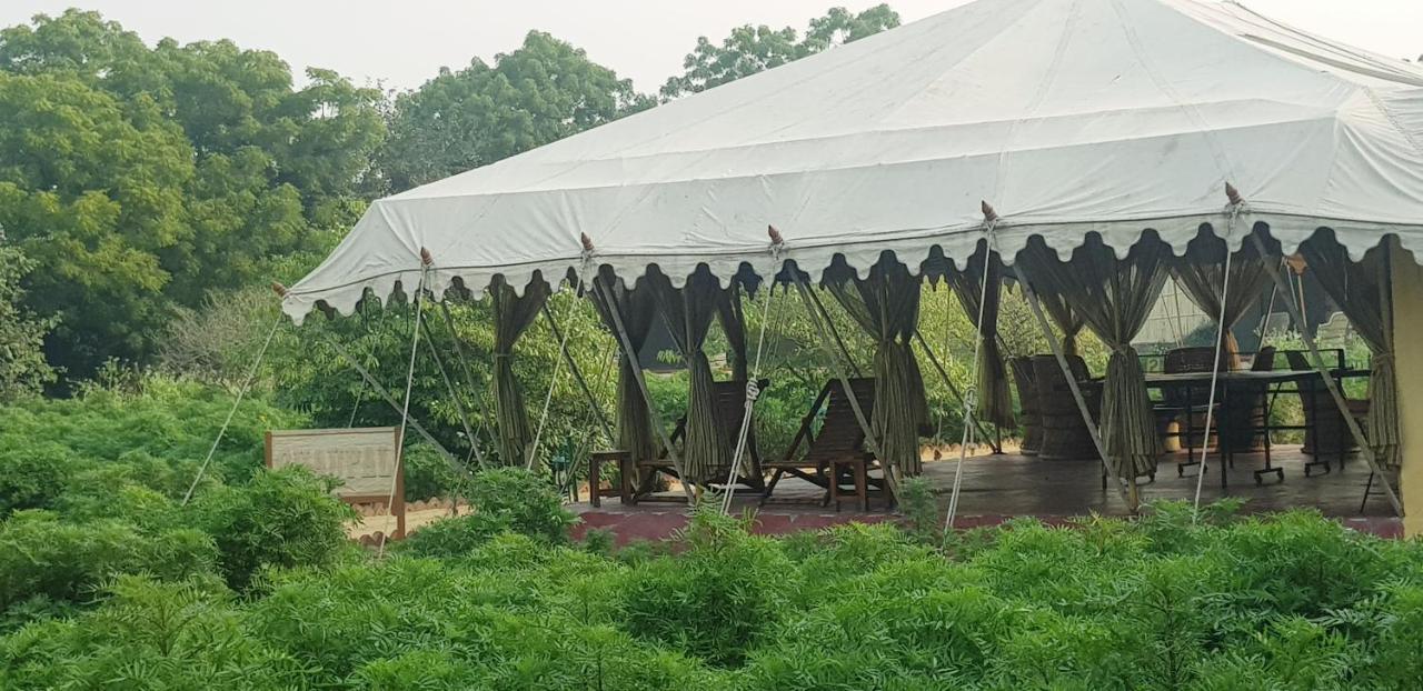 Orchard Tents & Tranquility 布什格尔 外观 照片